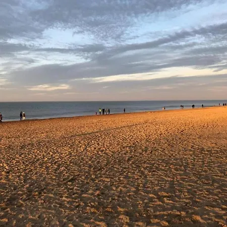 Delphine Cd103 With Beautiful Sea Views Koksijde