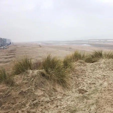 Delphine Cd103 With Beautiful Sea Views * Koksijde